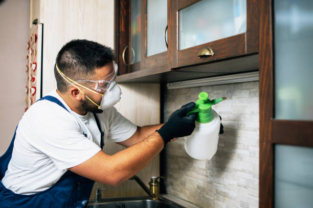 Best Pest Removal Services  in Peachtree City, GA