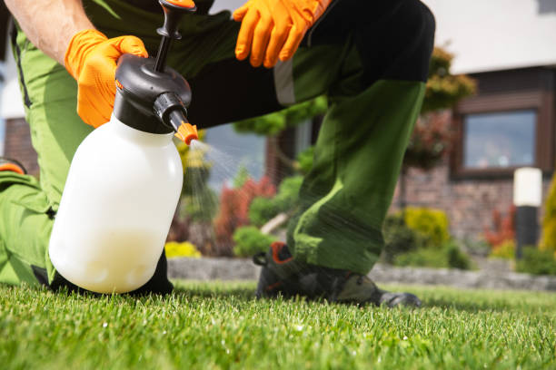Best Affordable Pest Control Services  in Peachtree City, GA