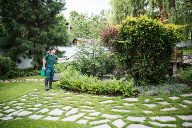 Reliable Peachtree City, GA Pest Control Solutions