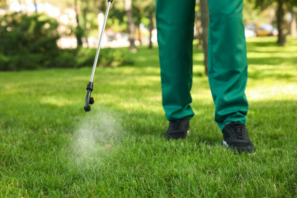 Best Local Pest Control Services  in Peachtree City, GA