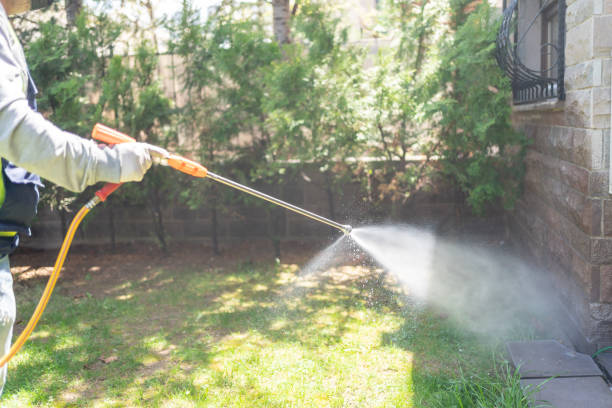 Best Flea Control Services  in Peachtree City, GA