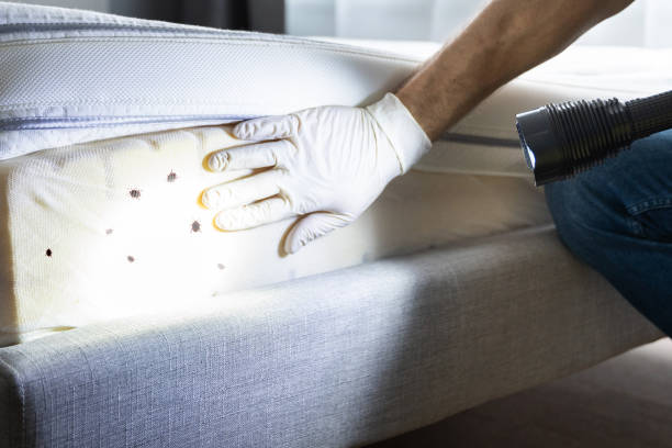 Best Pest Control for Businesses  in Peachtree City, GA