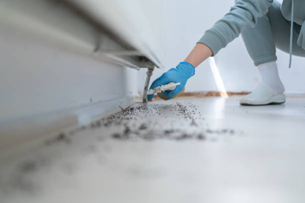 Best Termite Control Services  in Peachtree City, GA